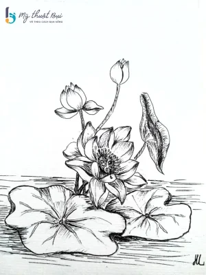 Phác họa hoa sen