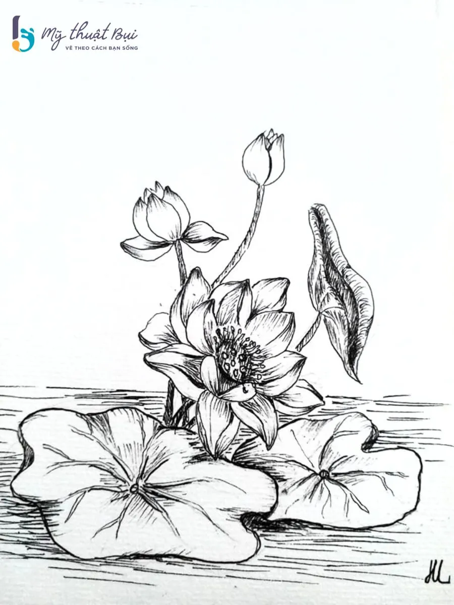 Phác họa hoa sen